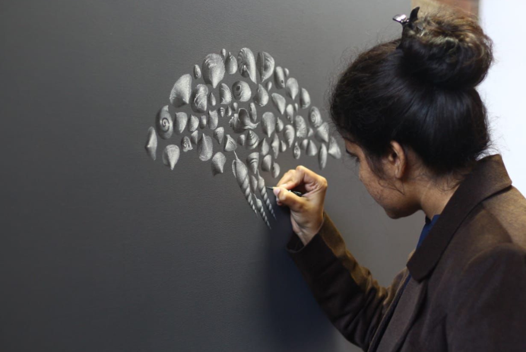 Bachelor of Fine Arts in Applied Arts- IIP Academy