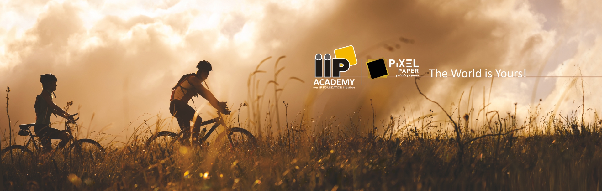 IIP Academy