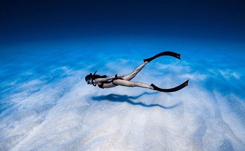 Underwater Photography