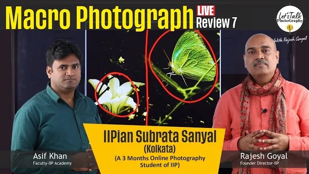 Macro Mastery: Subratha Sanyal's Photographic Voyage